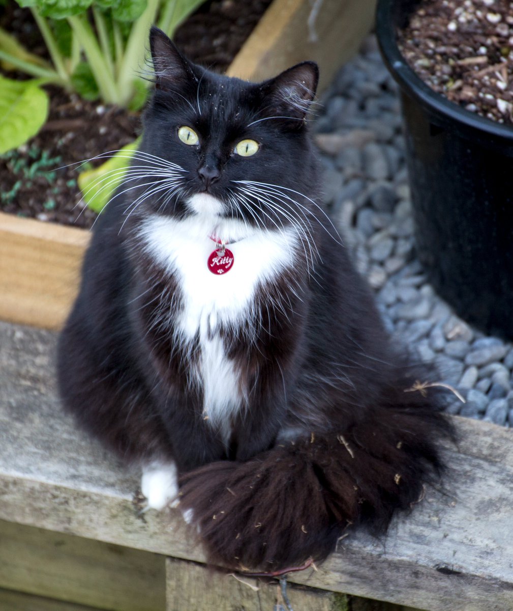 D.R. Bailey tweet media