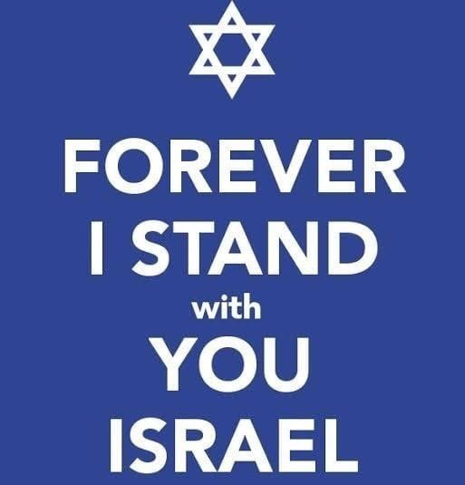 Colleen J 🐾 tweet media