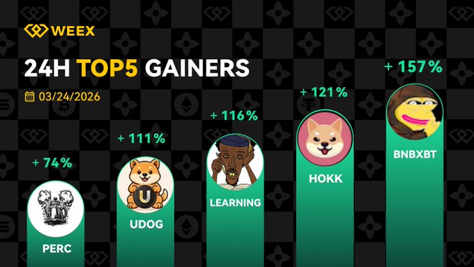 WEEX Italian tweet media