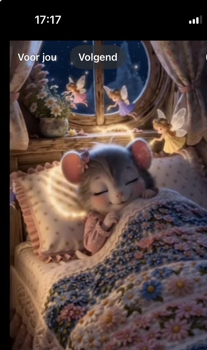 Bousy😻 ‘Houdini’ de Rood-Witte tweet media