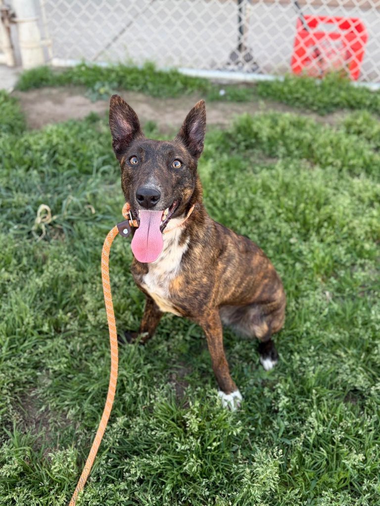 Christie McKiernan tweet media