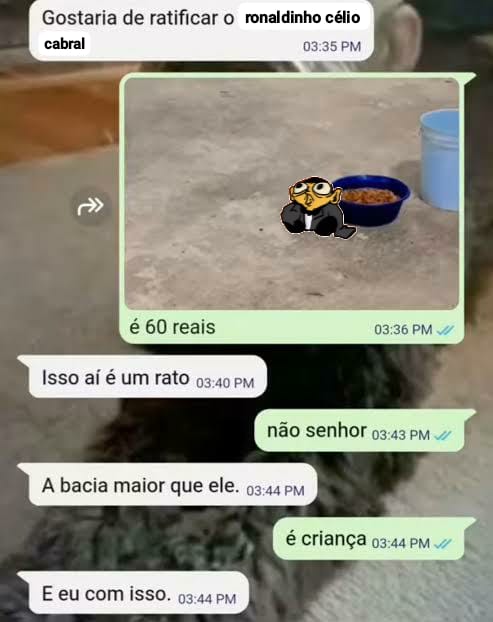 a nate | #jáboratwt tweet media