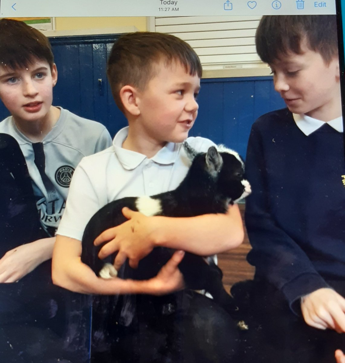 Rothiemay Primary School tweet media
