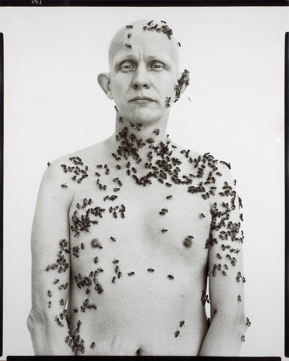 Photo Press Diary tweet media