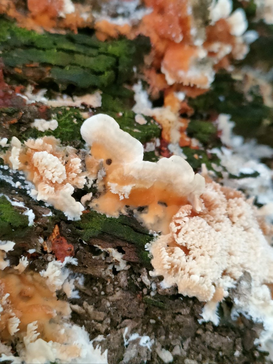 Ewa Farna tweet media