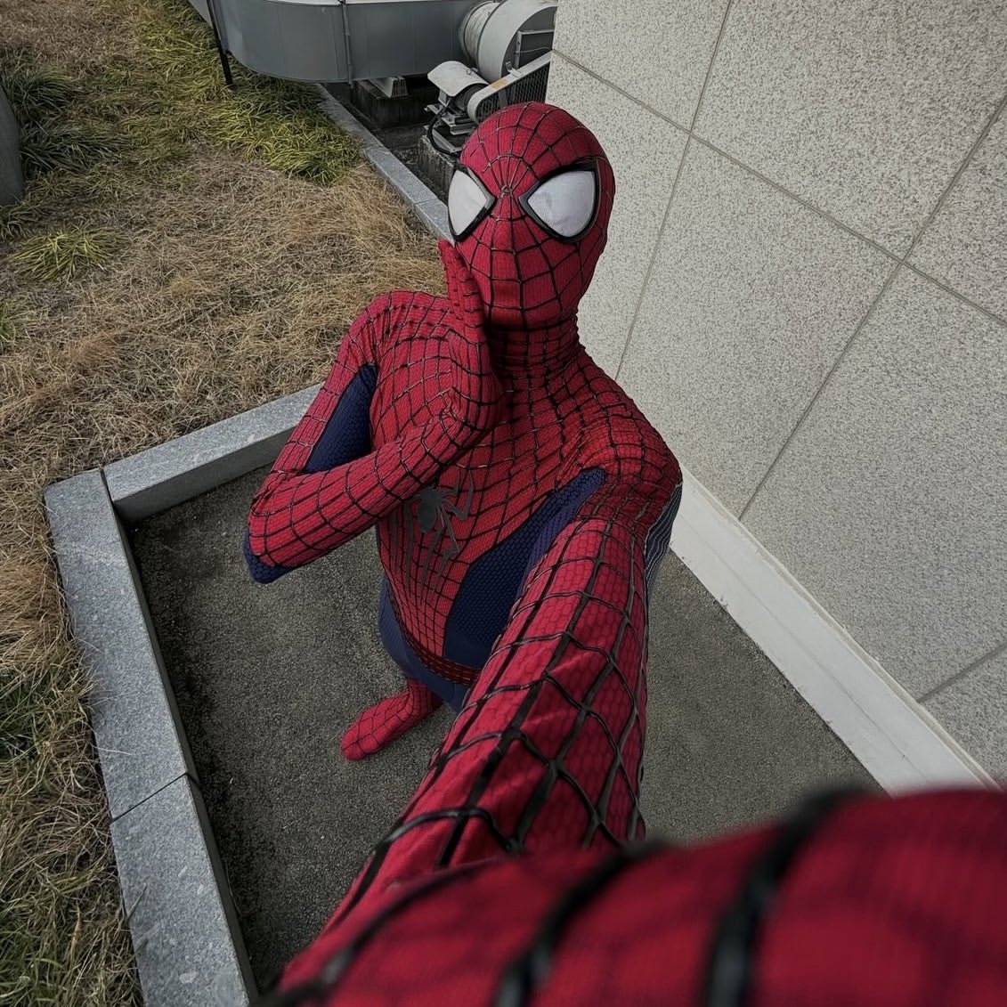 Someone in the crowd tweet media