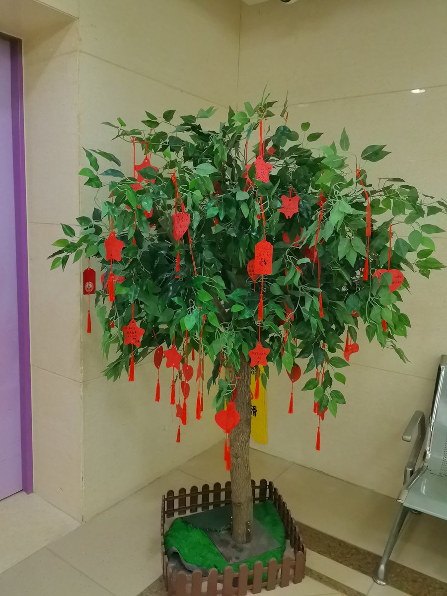 Meng Wang tweet media