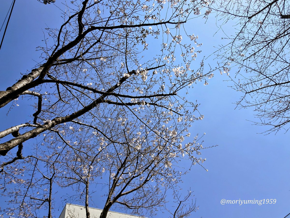 もりゆーみん 推しのSSMP新曲作成してます🥚 tweet media