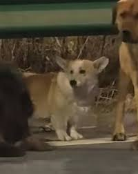 MR. BAD 14 tweet media