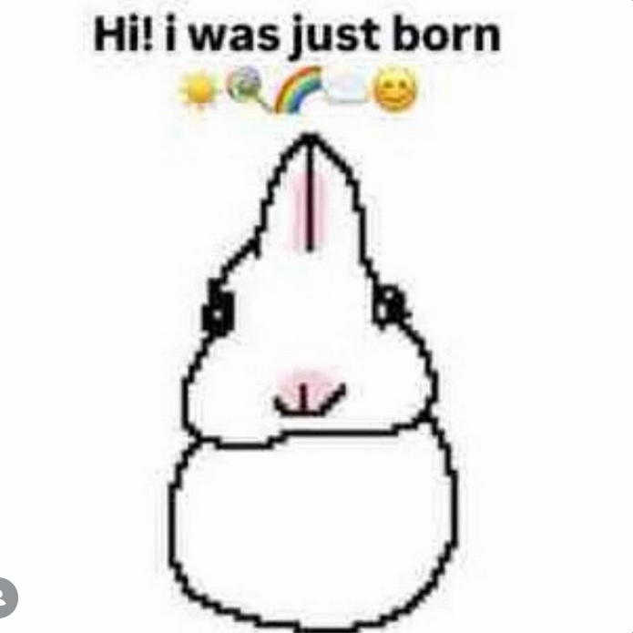 i drink soup tweet media