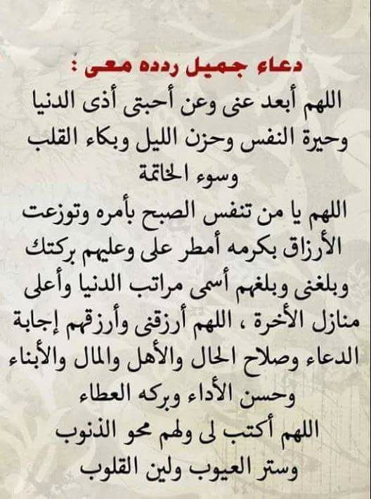 زيد علي الثلاياء tweet media