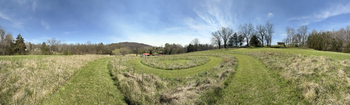 DarinRMcClure's tweet image. Totally not Ai. #MyViewRightNow