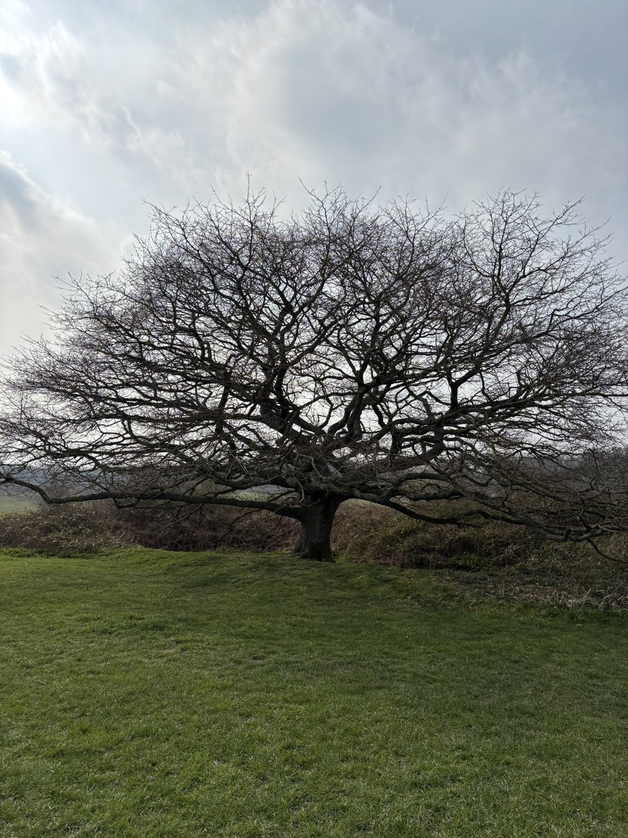 James Dreyfus tweet media