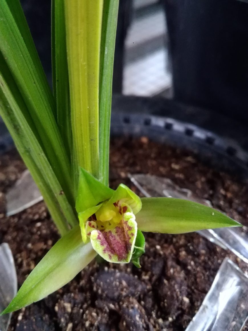 michmils45 tweet media