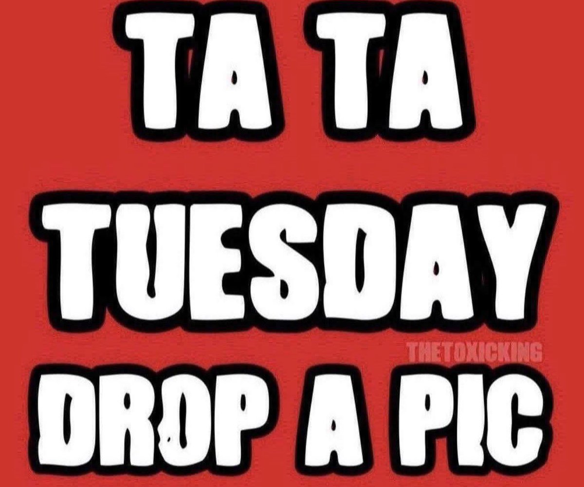 TheToxicKing tweet media