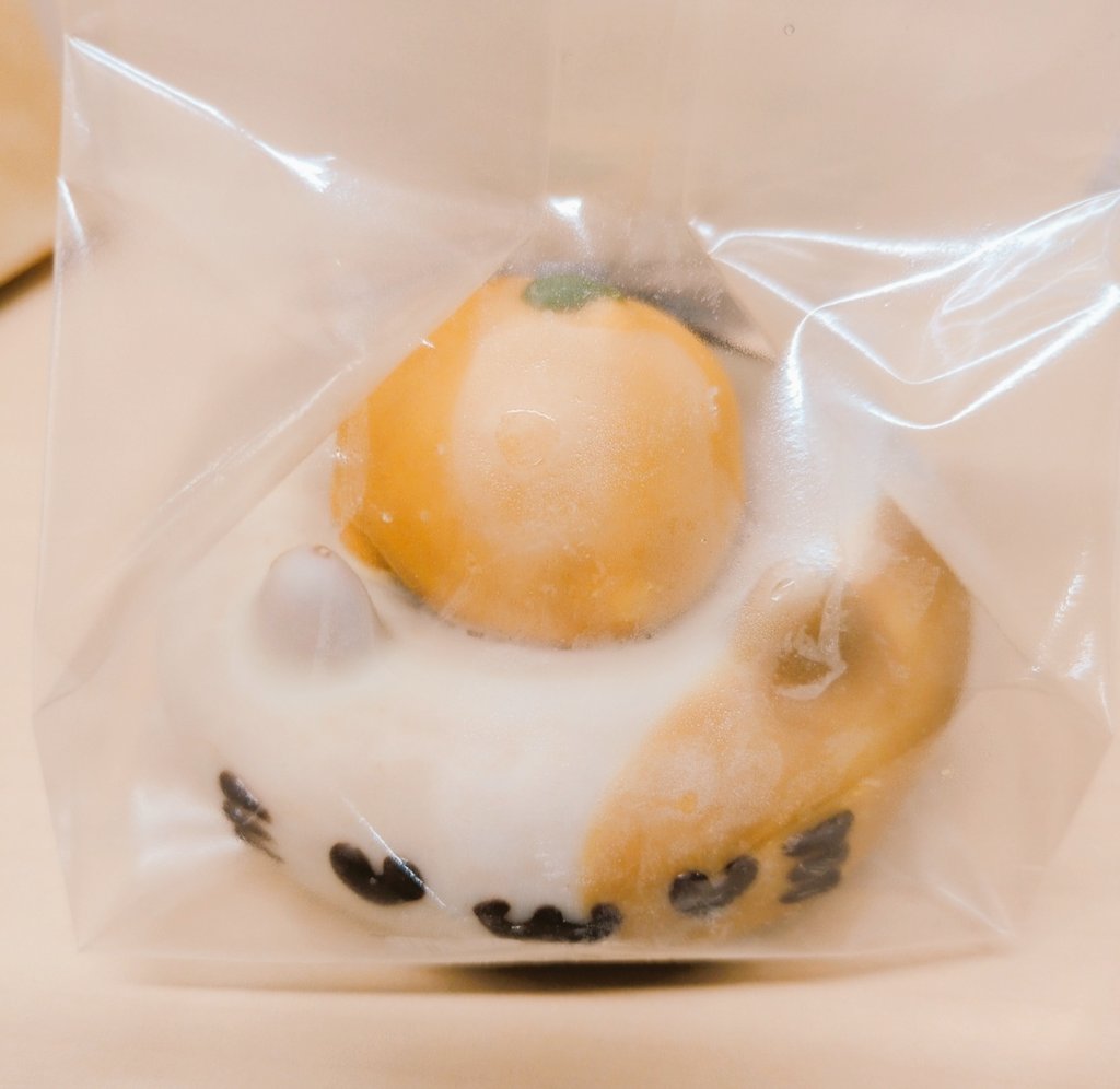 かわいすぎる🐈️🍊