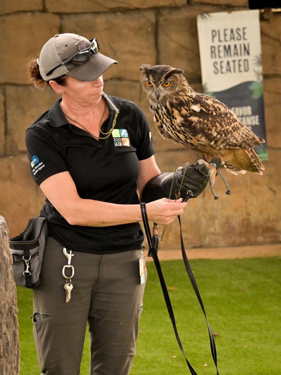 Zoo Miami tweet media