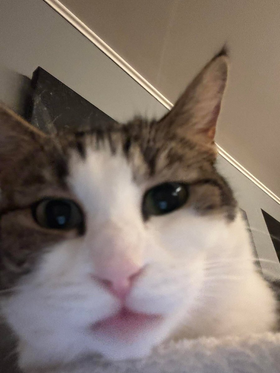 La Couque de Namgikook ⊙⊝⊜ tweet media