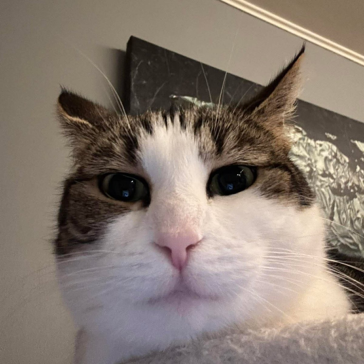 La Couque de Namgikook ⊙⊝⊜ tweet media