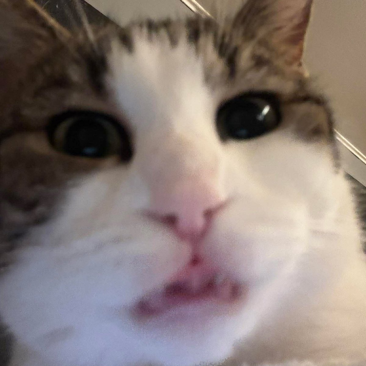 La Couque de Namgikook ⊙⊝⊜ tweet media