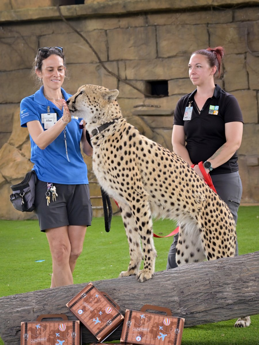 Zoo Miami tweet media