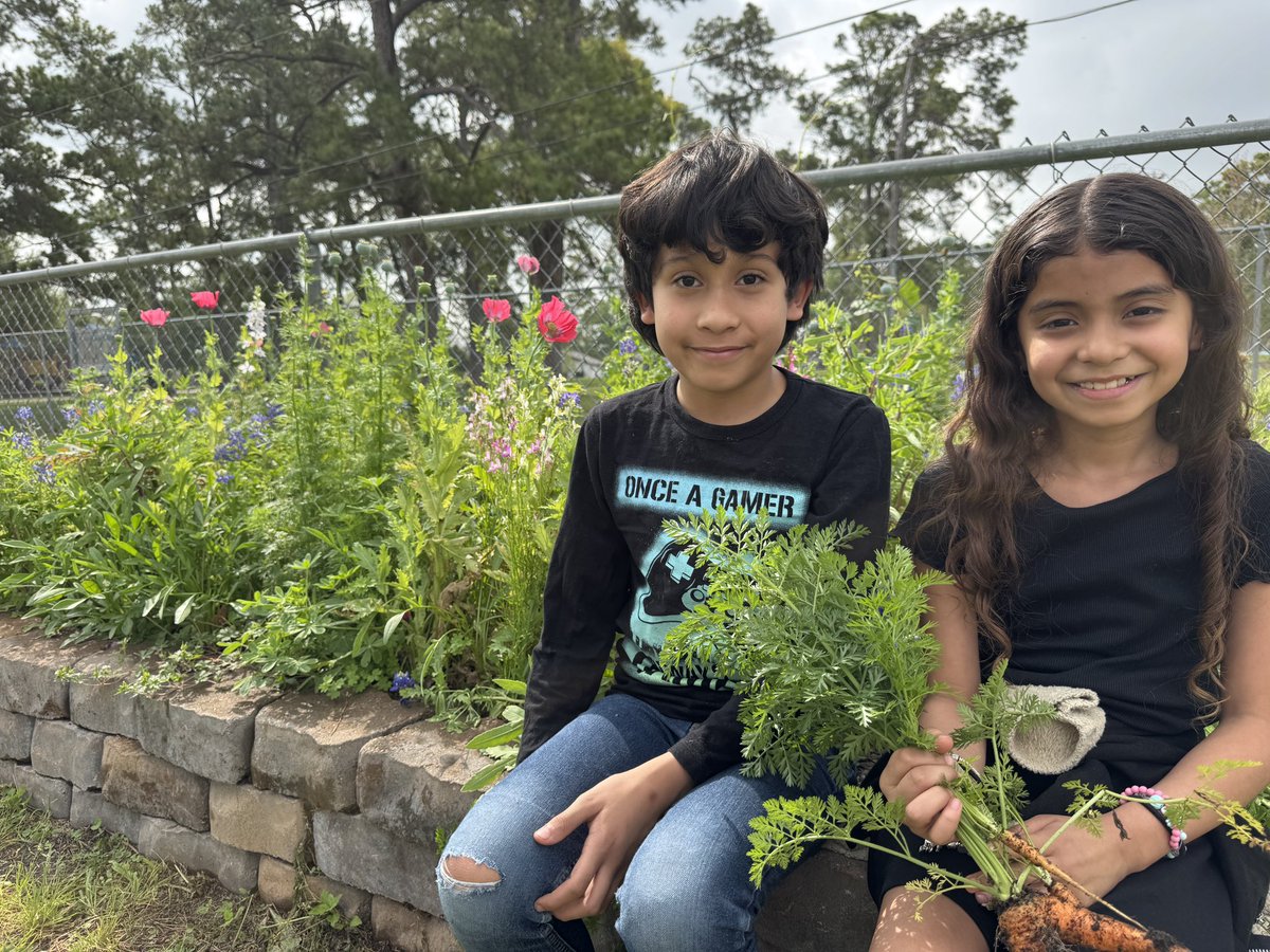 Maria Paoli-Vega tweet media