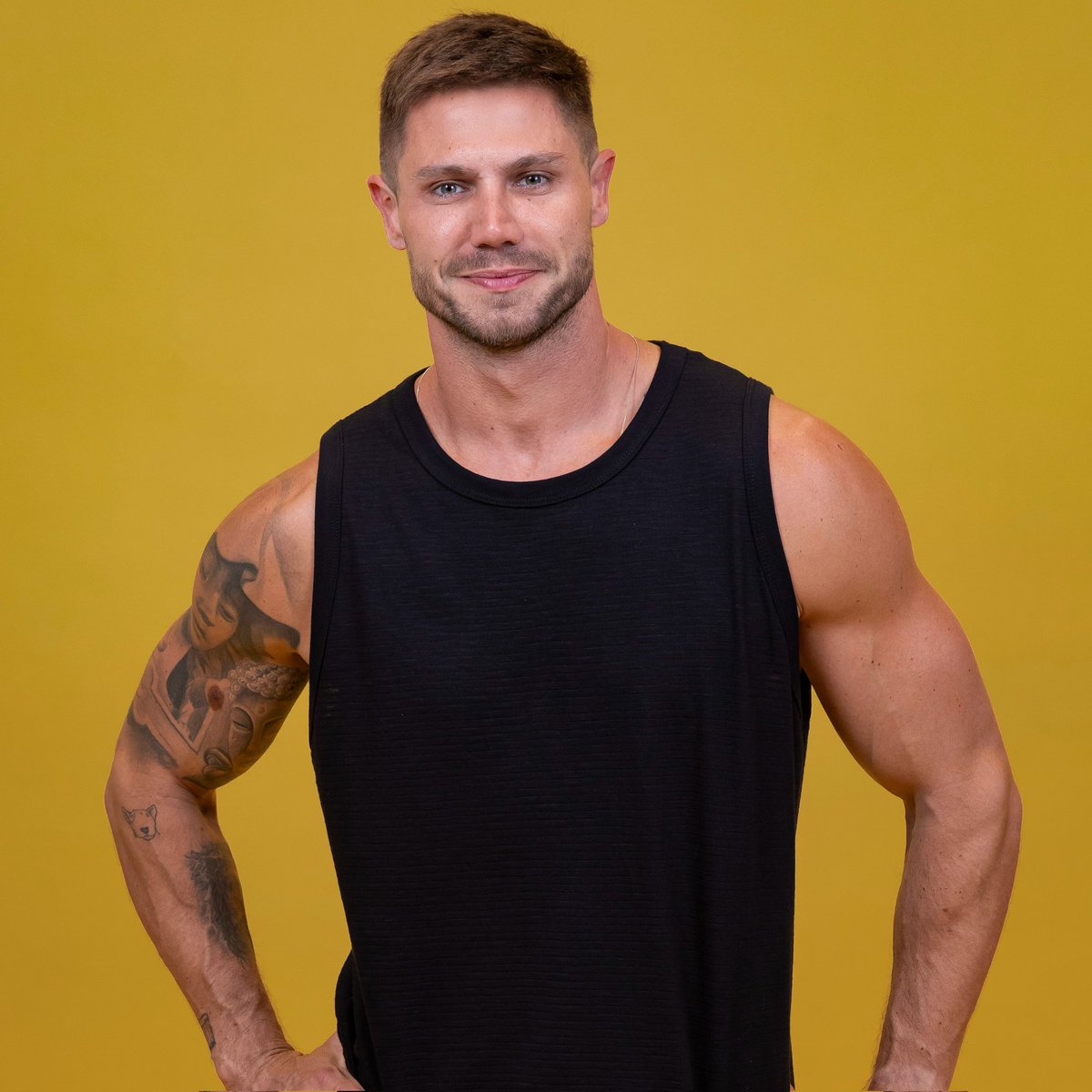 Rotafofoqueiro tweet media