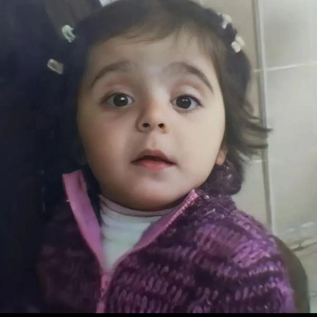 swan dwy! tweet media