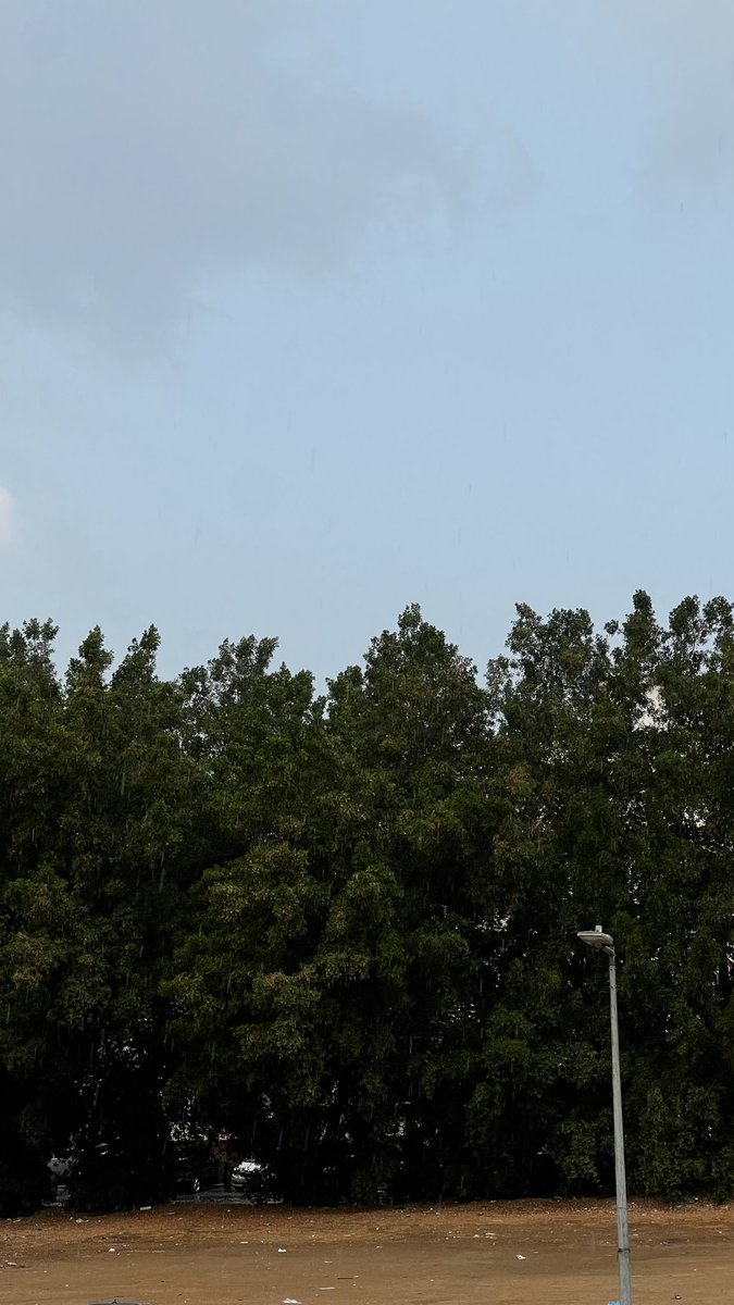 تهانيّ tweet media