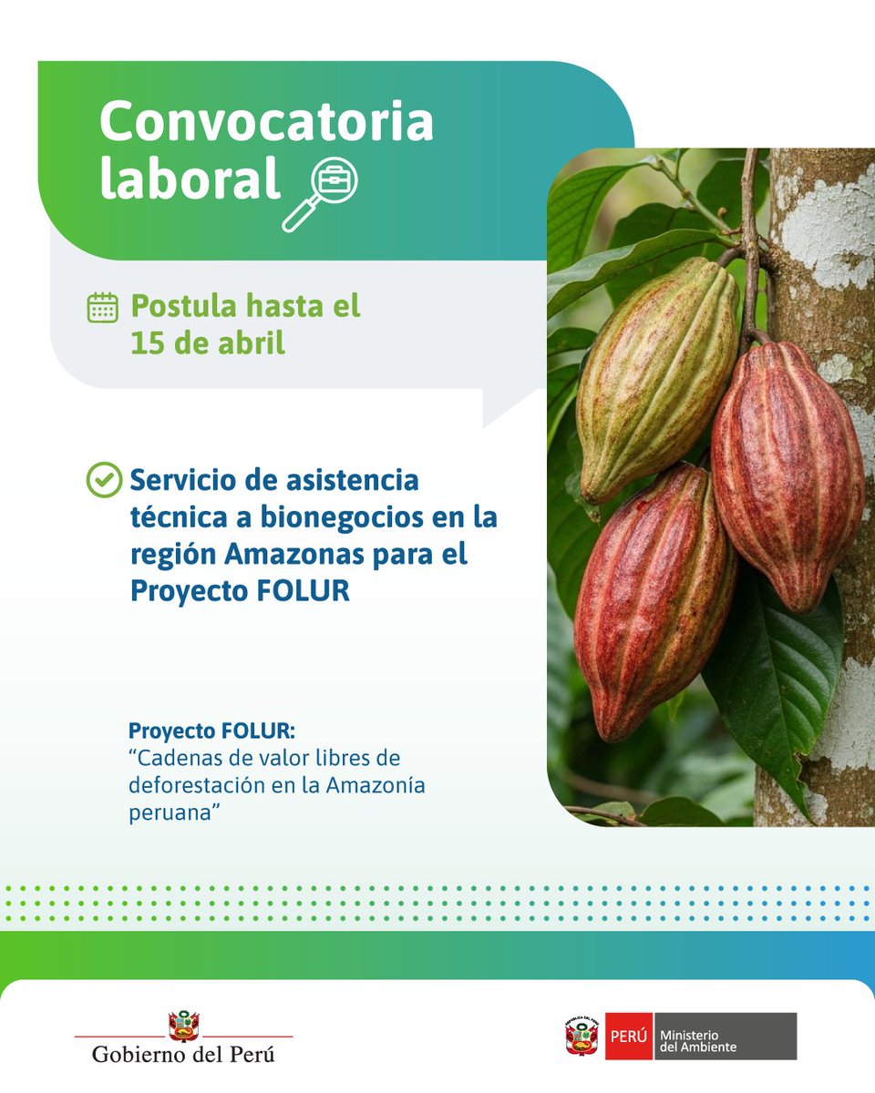 MinamPeru's tweet photo. 💼 ¡Forma parte del Proyecto #FOLUR! 🌱
Se requiere una empresa u organización especializada para brindar asistencia técnica integral a 200 bionegocios de café y cacao en la región Amazonas.
🗓️ Postulación hasta el 15 de abril.
📲 Más detalles 👉 https://t.co/9HMMoixRhS
#CafeyCacaoSostenible