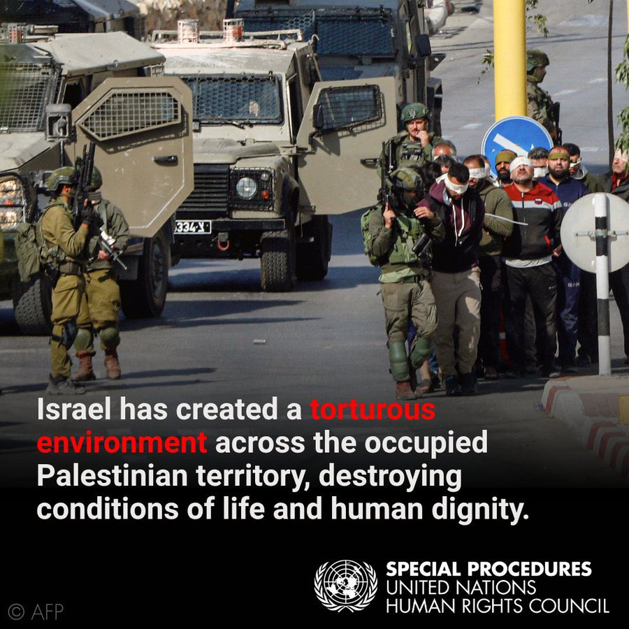 Shannah Namaganda tweet media