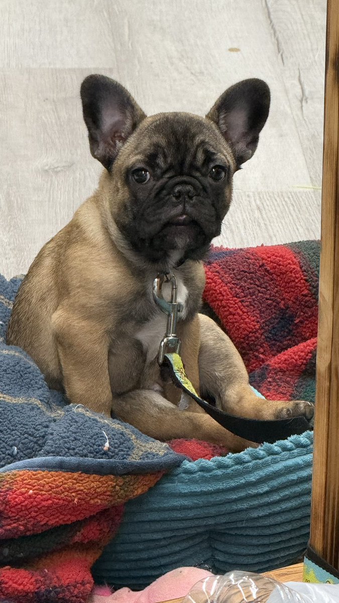 DerekGumtow's tweet photo. @Blue____78 Little baby Isla. https://t.co/ZE3lJzhmuU