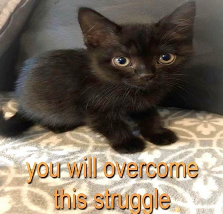 i drink soup tweet media