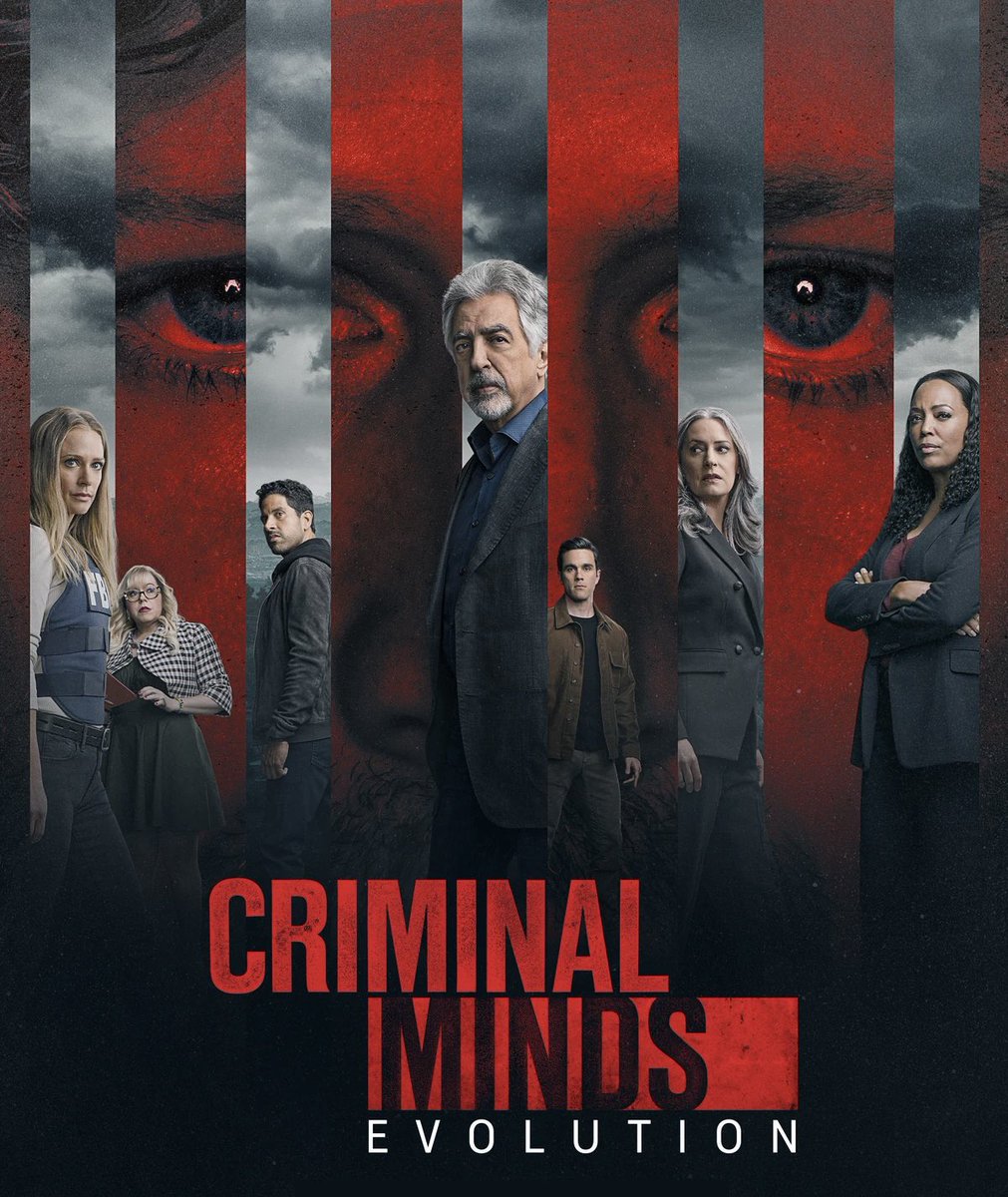 ConnorStorrieItalia tweet media