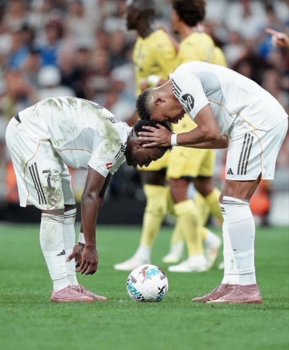 (fan) Marito 🐢 tweet media