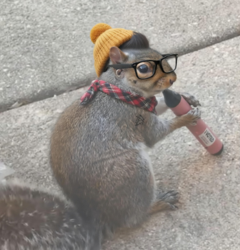 ᴊᴏᴇ_ᴅpTro tweet media