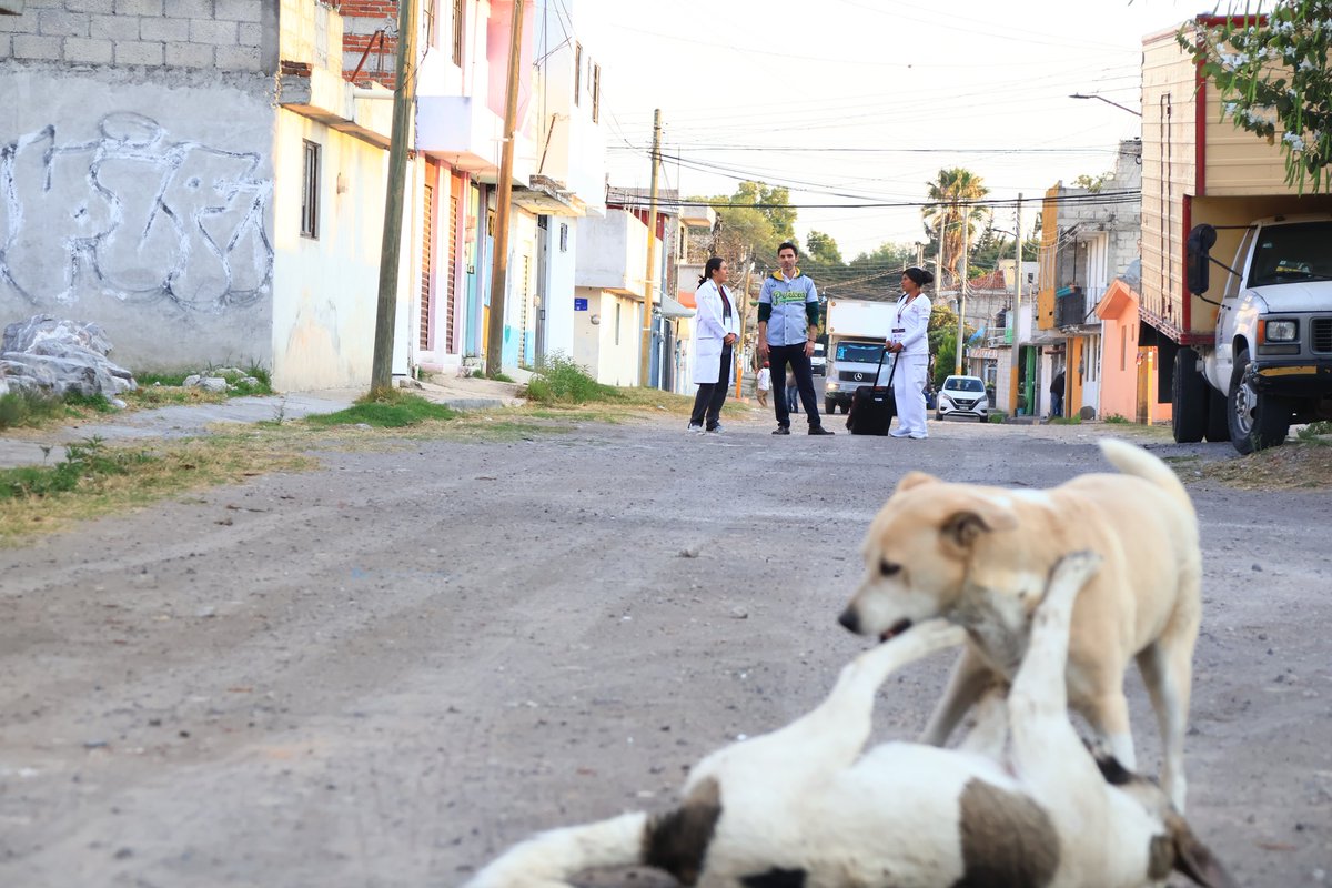 En la colonia La Joya acompañamos a las Servidoras de la Salud Maribel y Andrea; y al delegado <a href="/RodrigoAbdalaD/">Rodrigo Abdala</a>

Visitamos a la señora Herminia, quien junto a su familia recibe apoyos que hoy se reflejan en su alimentación y gastos básicos.

El bienestar se vive #CasaPorCasa.