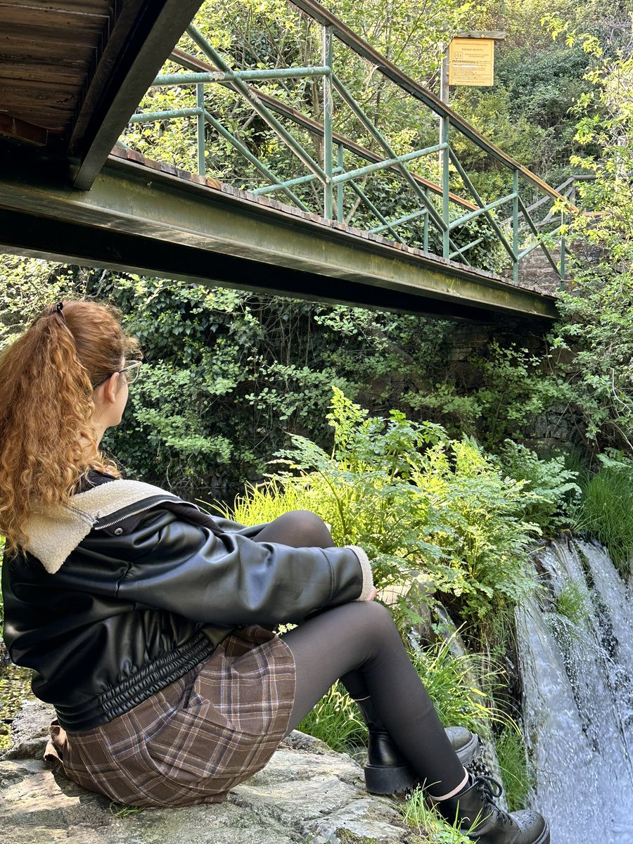 Spencer 🦋 tweet media