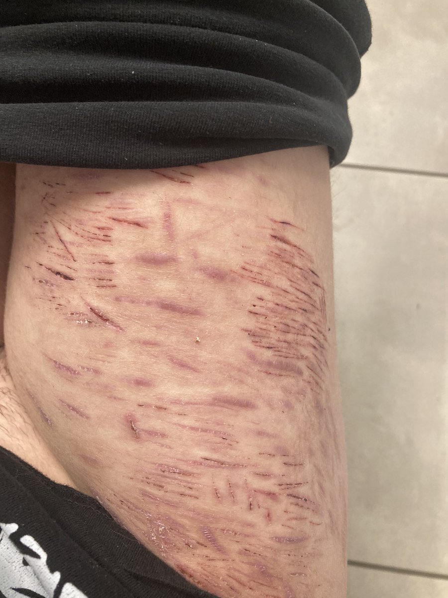 ⤷﹒Salmon of shtwt tweet media