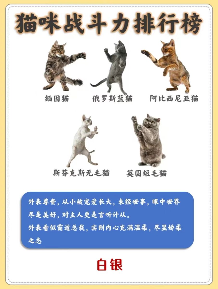 jESSiiCA tweet media