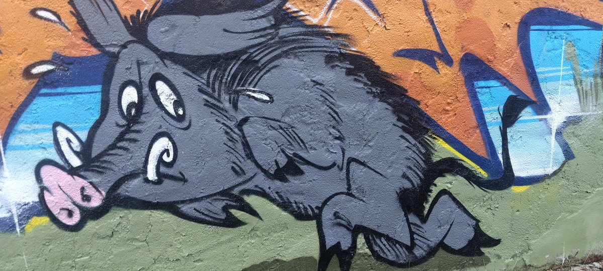 Franziska 🎗️🇪🇺 tweet media