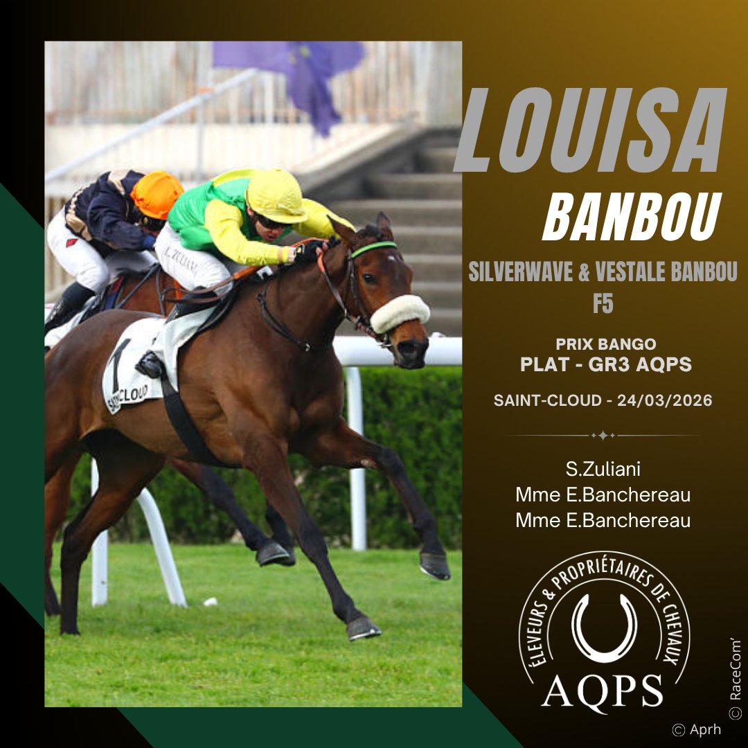 AQPS thefrenchchaser tweet media