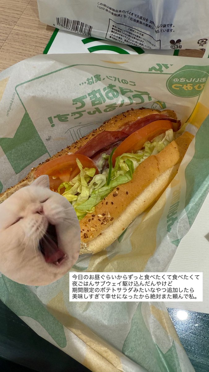 もょもと tweet media