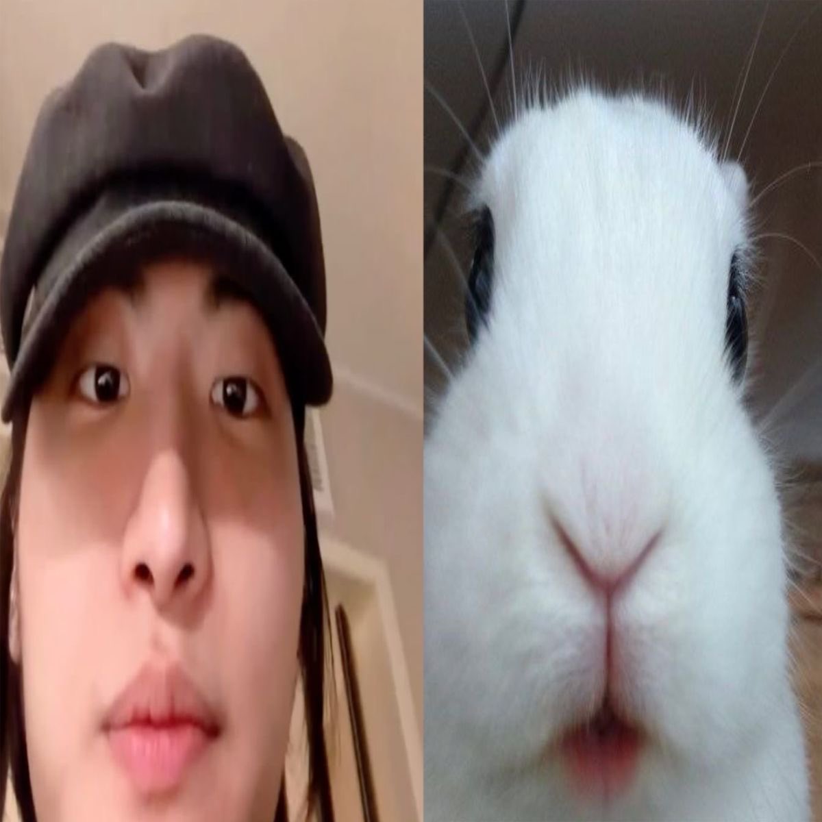 hwasyaaa's tweet photo. есть кто живой ало https://t.co/jAVFQpYhYp
