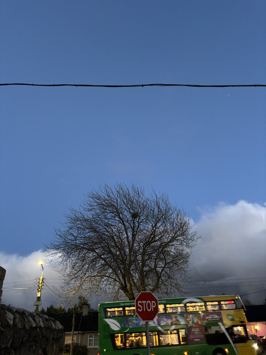 John McCafferty tweet media