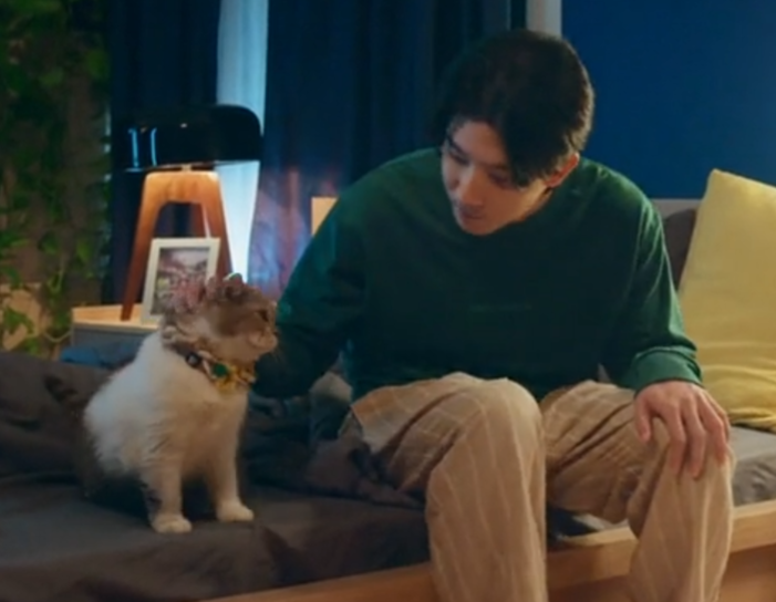 ƶαƶ 🦈🐱 tweet media