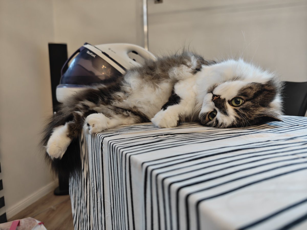 GwennyWilks tweet media