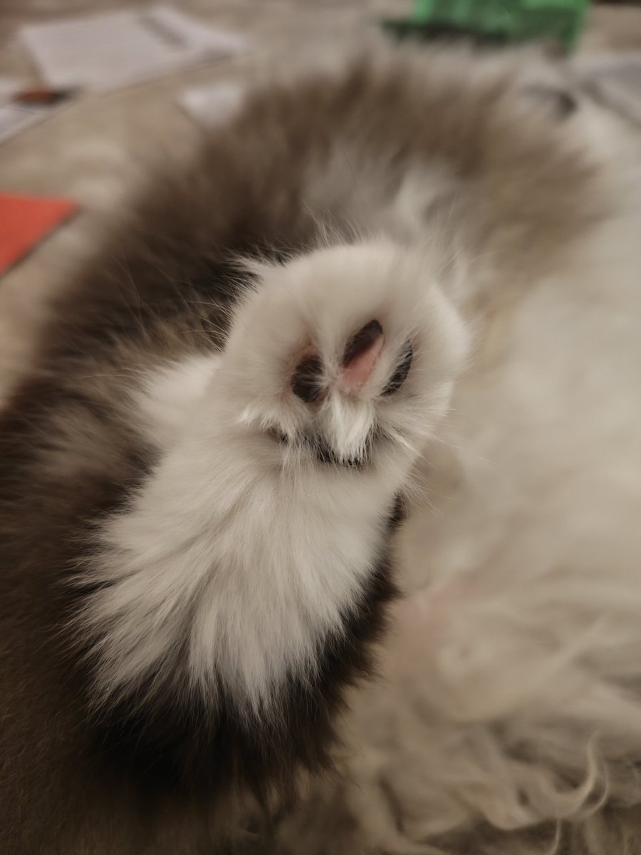 GwennyWilks tweet media