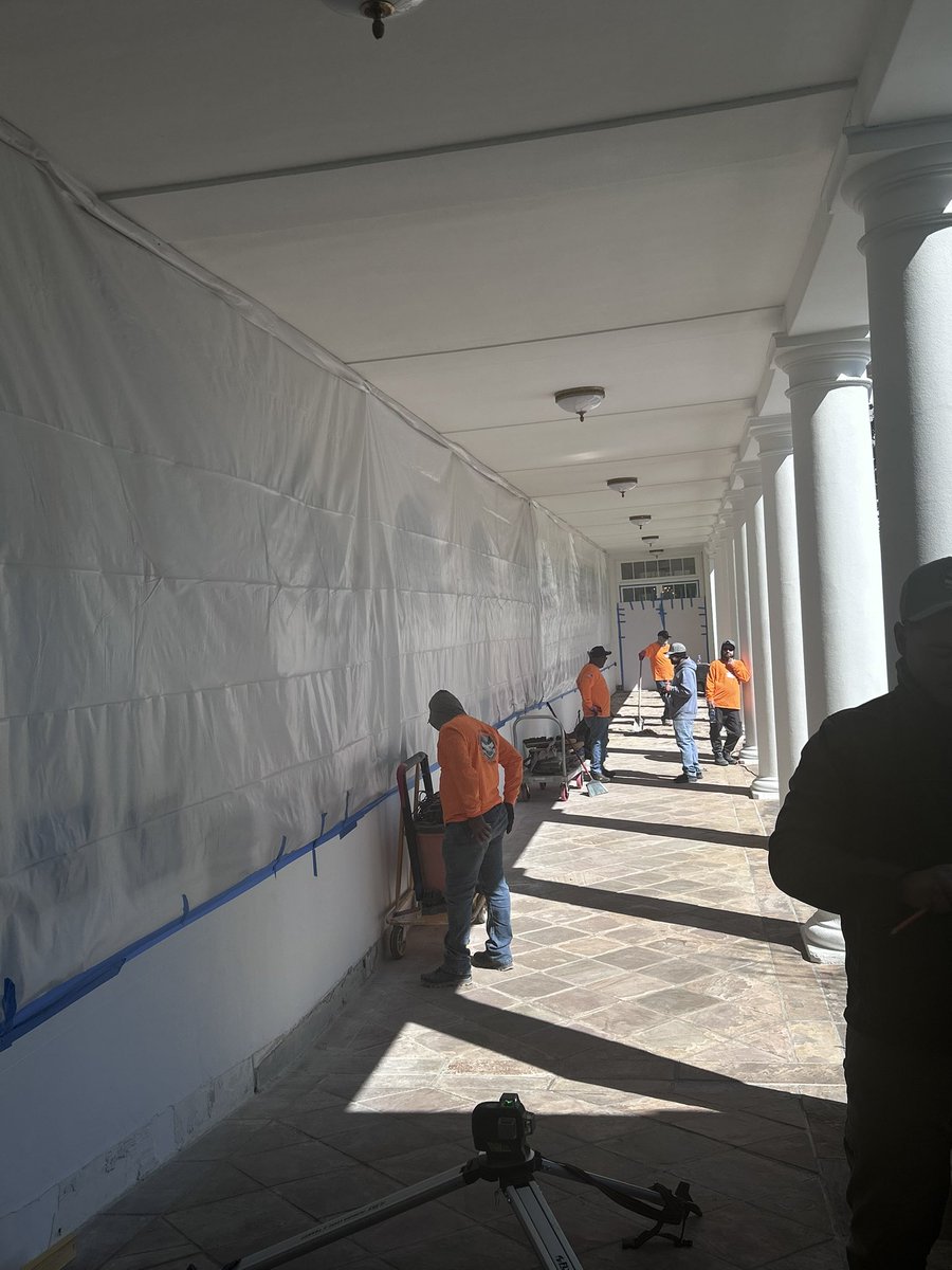 Diana Nerozzi tweet media