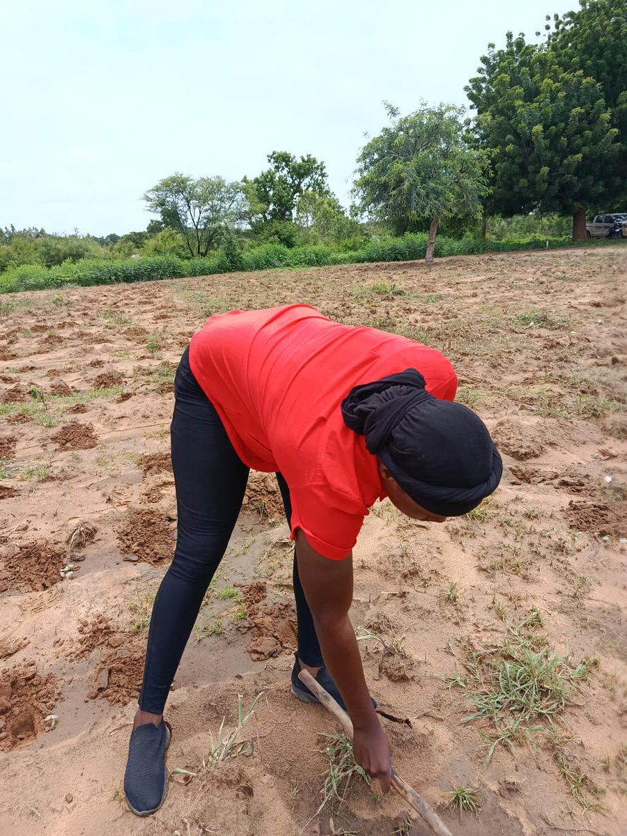 Elielle Cherifa Zerbo tweet media